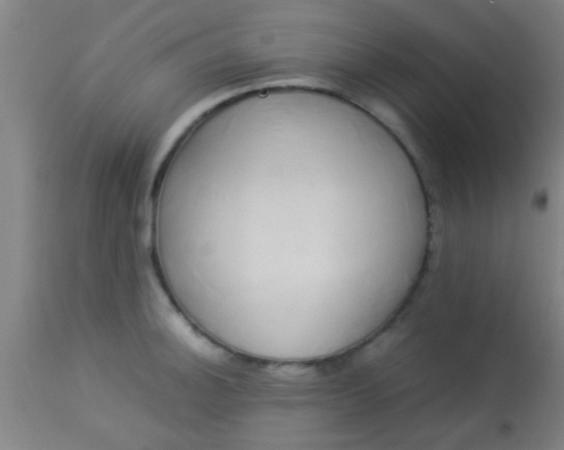 X0000114171140200910221645