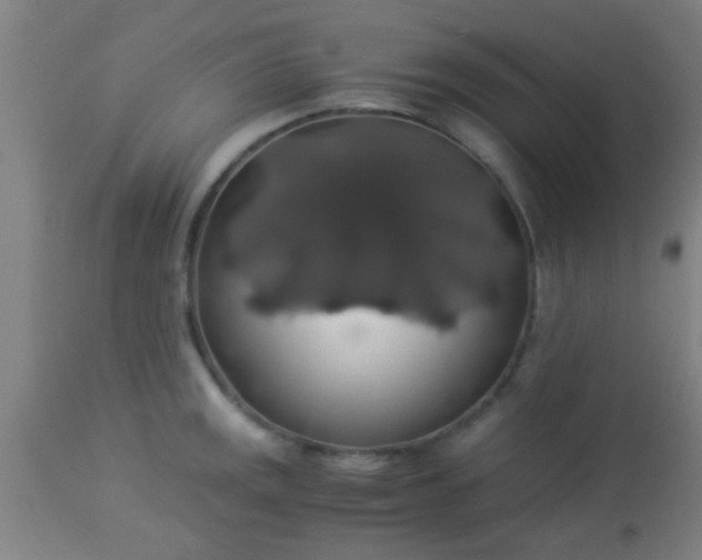 X0000114171141200910221645