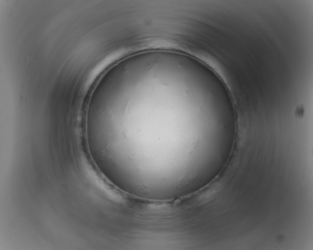 X0000114171142200910221645