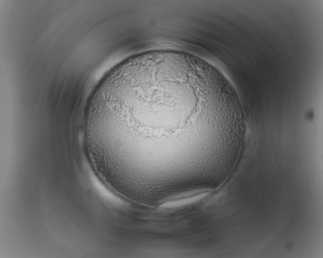 X0000114171143200910221645