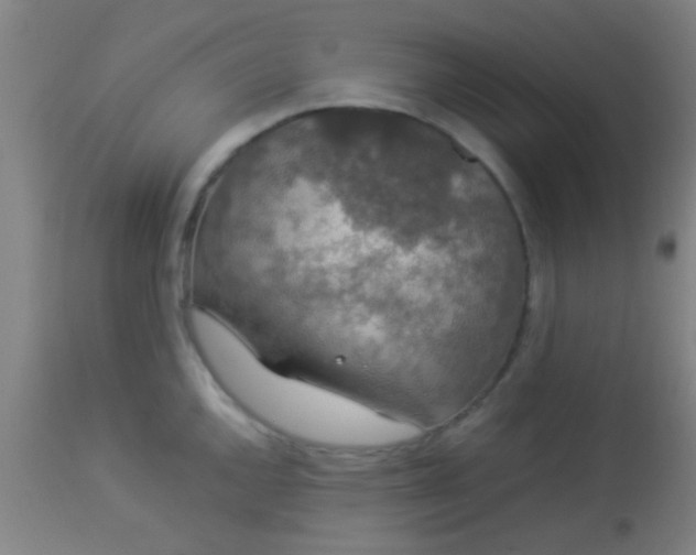 X0000114171144200910221645