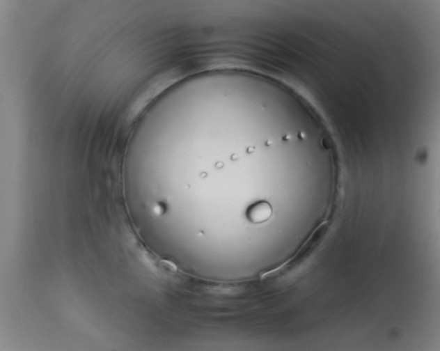 X0000114171145200910221645