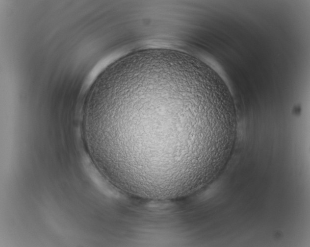 X0000114171146200910221645