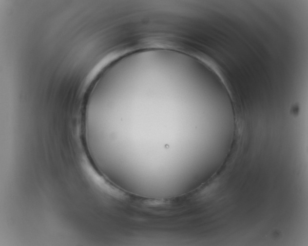 X0000114171147200910221645