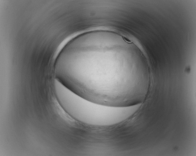 X0000114171148200910221645