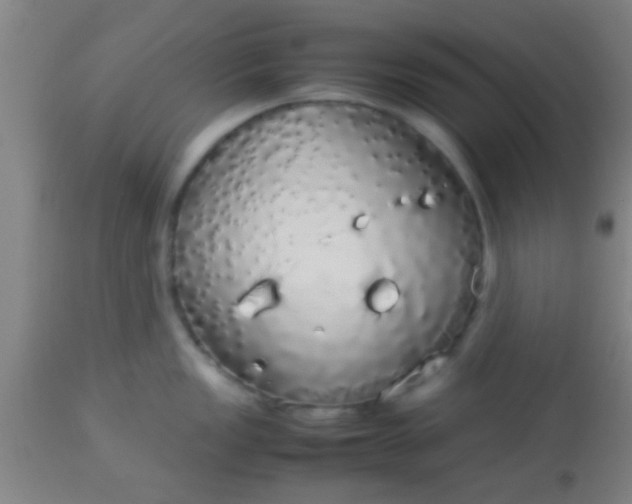 X0000114171149200910221645