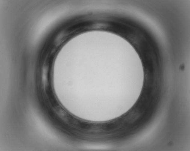 X0000114171150200910221645