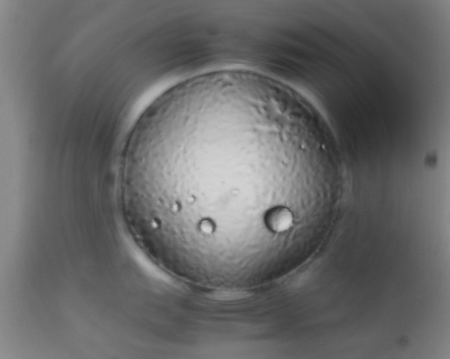 X0000114171151200910221645