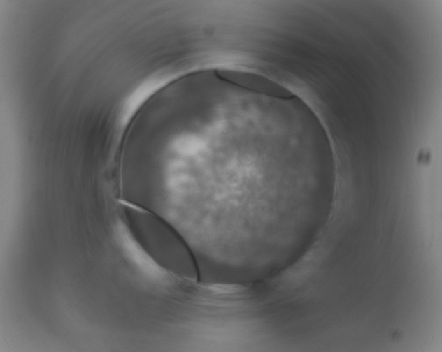 X0000114171152200910221645