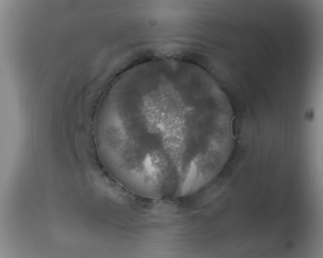 X0000114171153200910221644