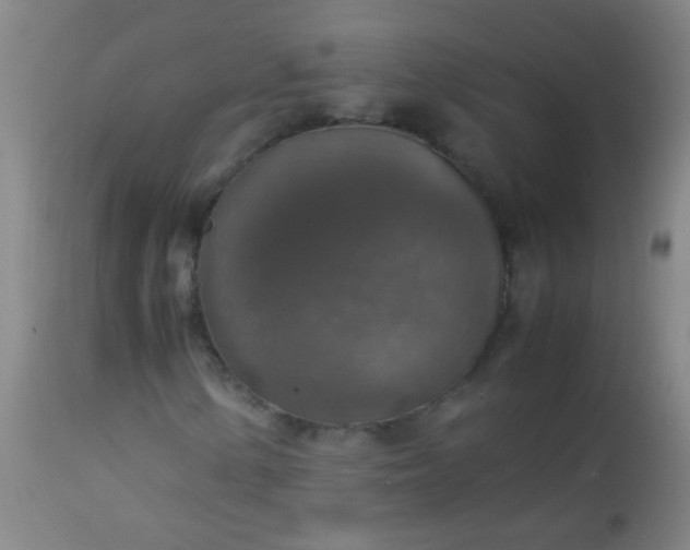 X0000114171154200910221644