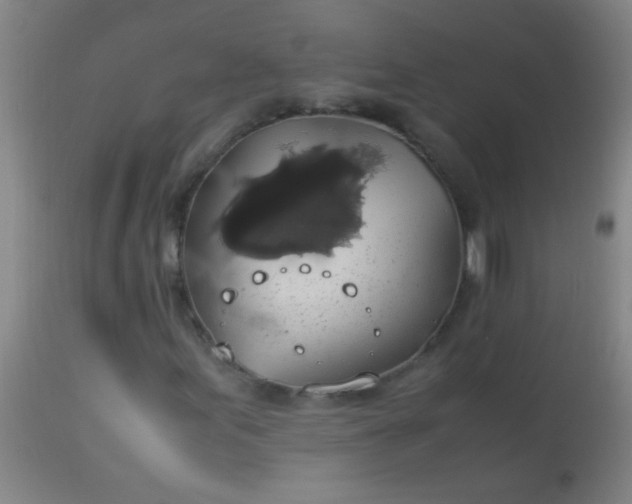 X0000114171155200910221644