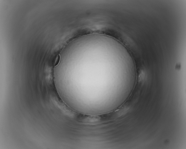 X0000114171156200910221644