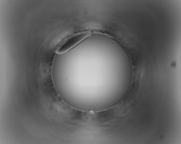 X0000114171157200910221644