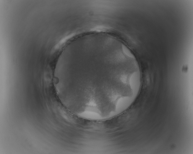 X0000114171158200910221644