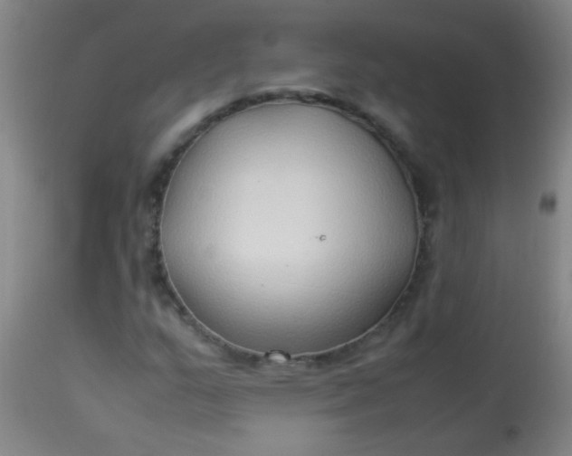 X0000114171159200910221644