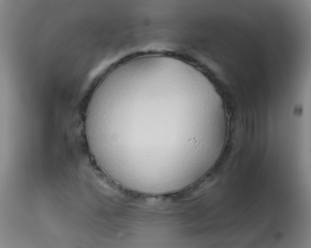 X0000114171160200910221644