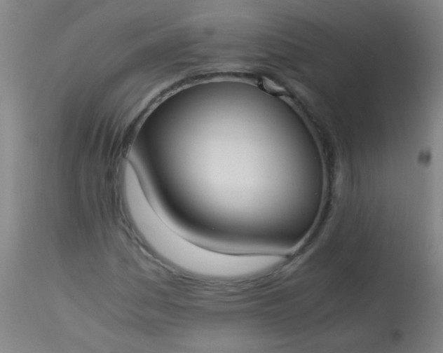 X0000114171161200910221644