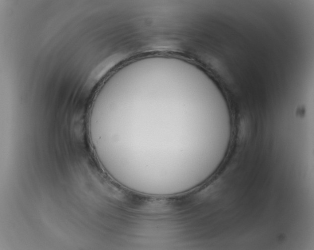 X0000114171162200910221644