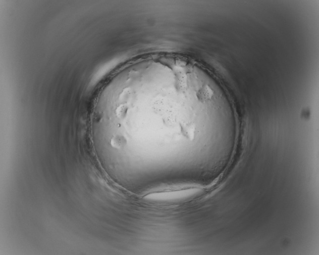 X0000114171163200910221644