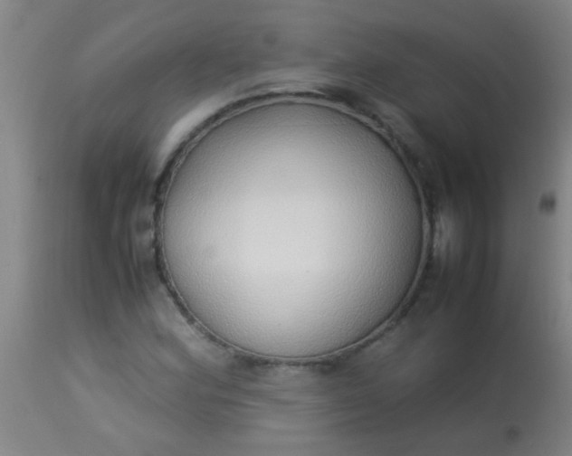 X0000114171164200910221644