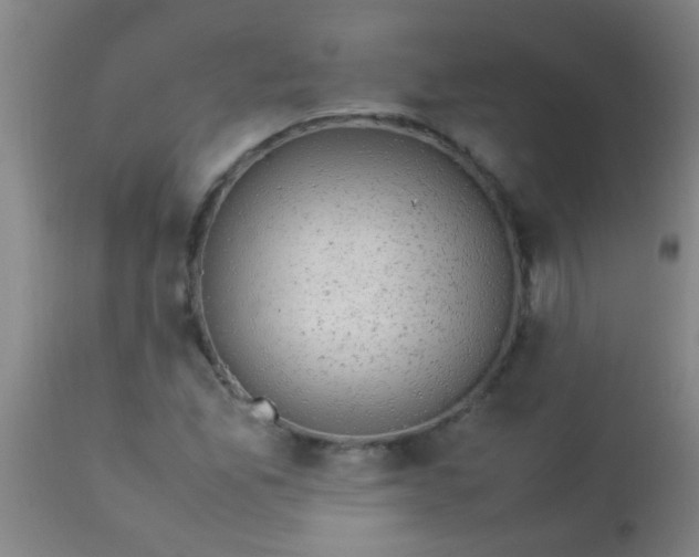 X0000114171165200910221644