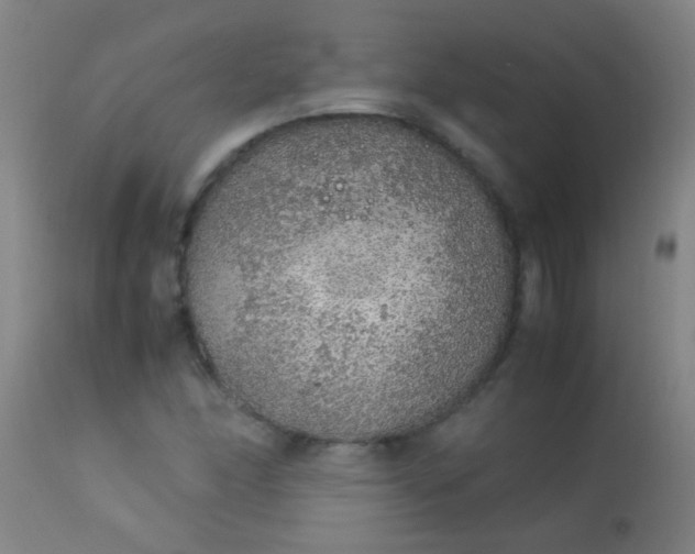 X0000114171166200910221644