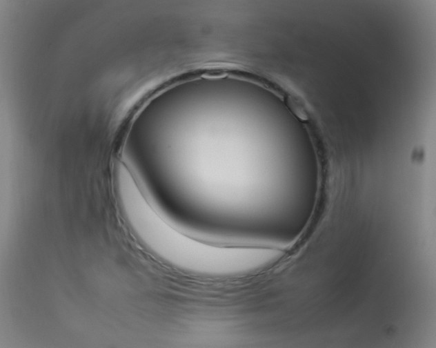 X0000114171167200910221644