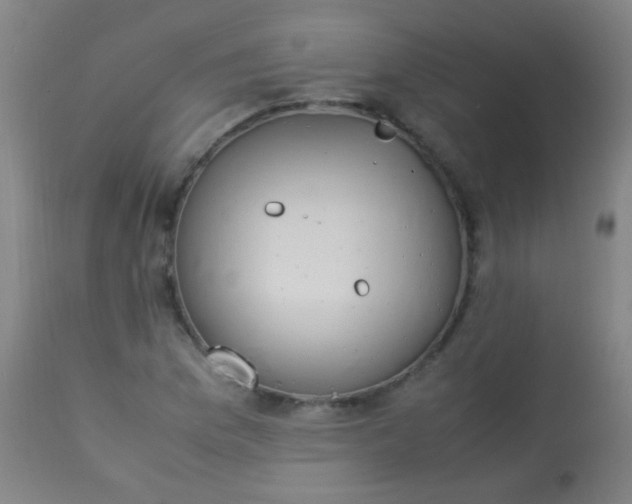 X0000114171169200910221644