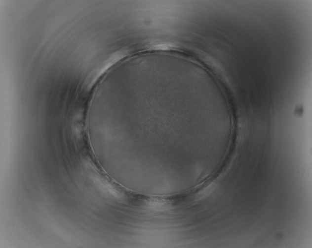 X0000114171170200910221644