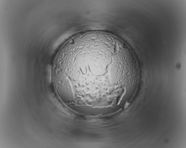 X0000114171171200910221644