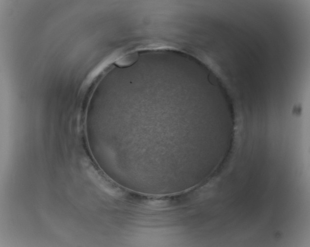 X0000114171173200910221644