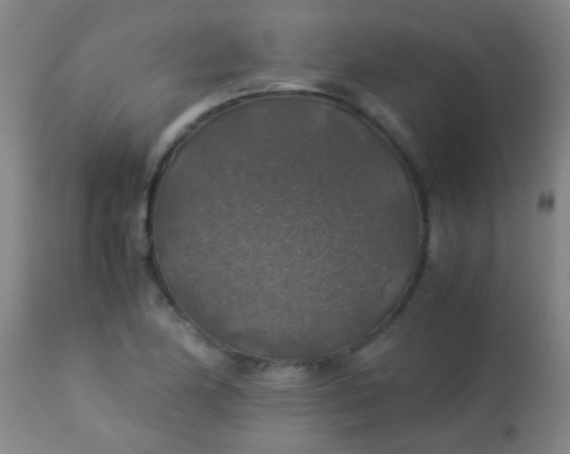 X0000114171174200910221644