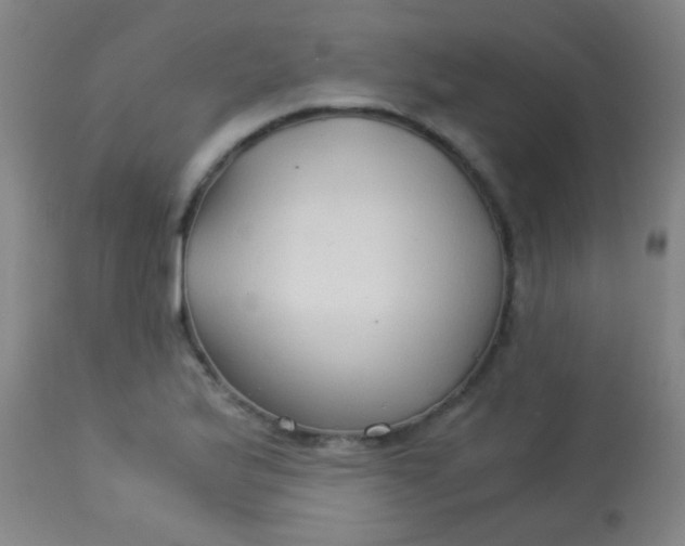 X0000114171175200910221644