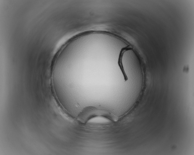 X0000114171176200910221644