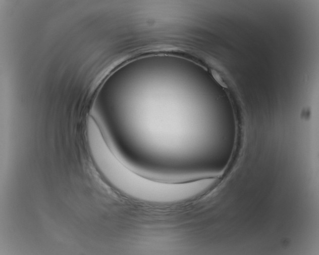 X0000114171177200910221644