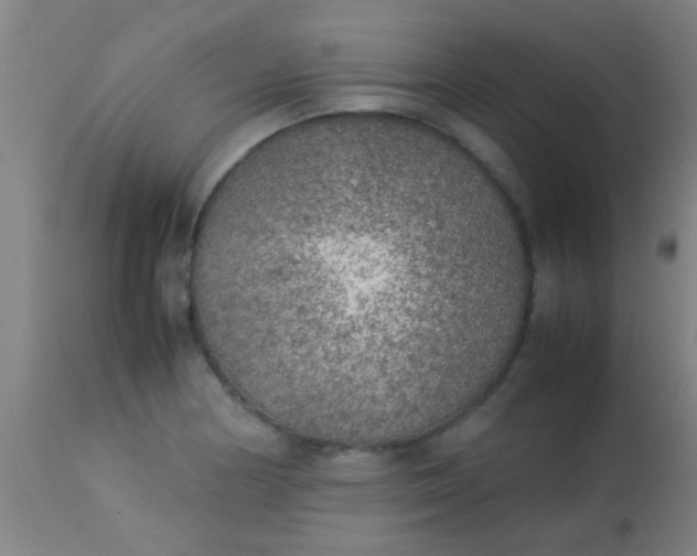 X0000114171178200910221644