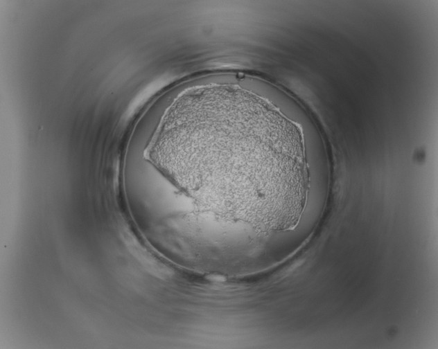 X0000114171179200910221644