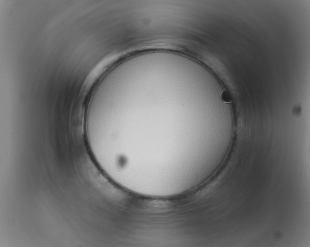 X0000114171180200910221644