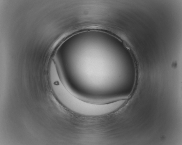 X0000114171181200910221644