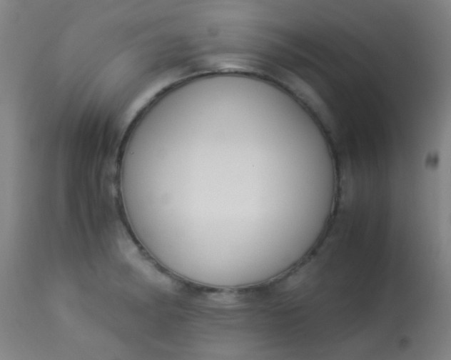 X0000114171182200910221644