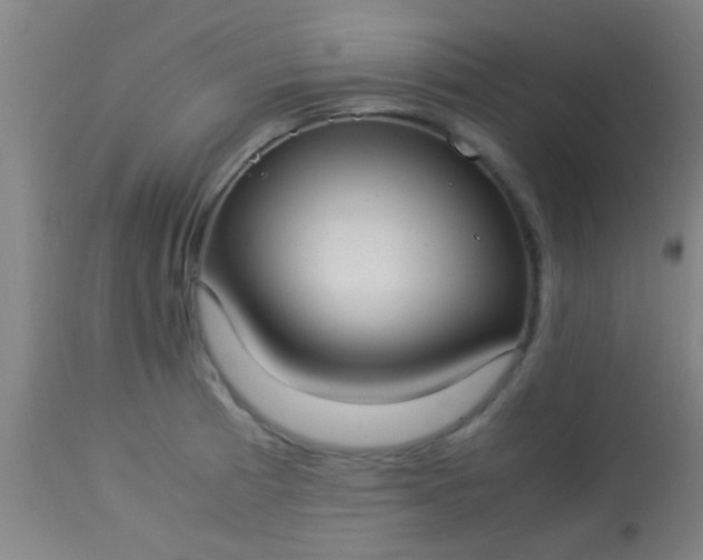 X0000114171185200910221644