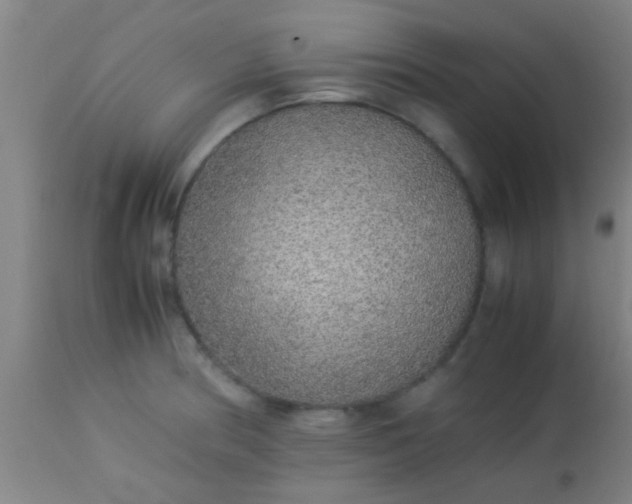 X0000114171186200910221644