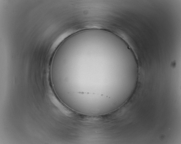 X0000114171187200910221644