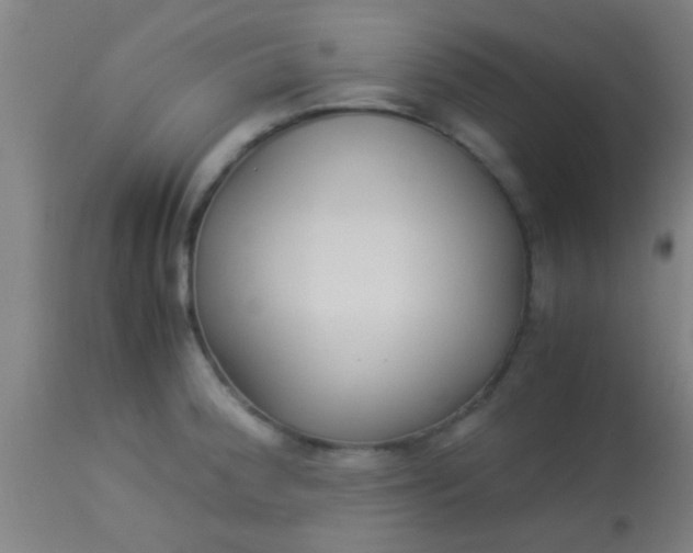 X0000114171188200910221644