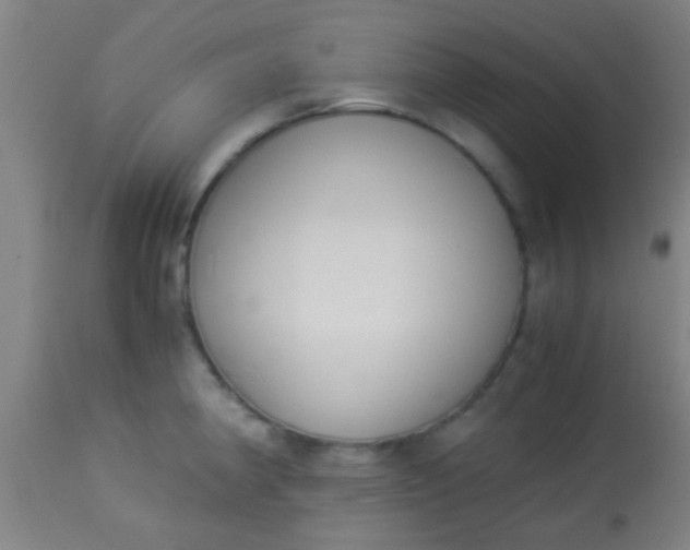 X0000114171190200910221644