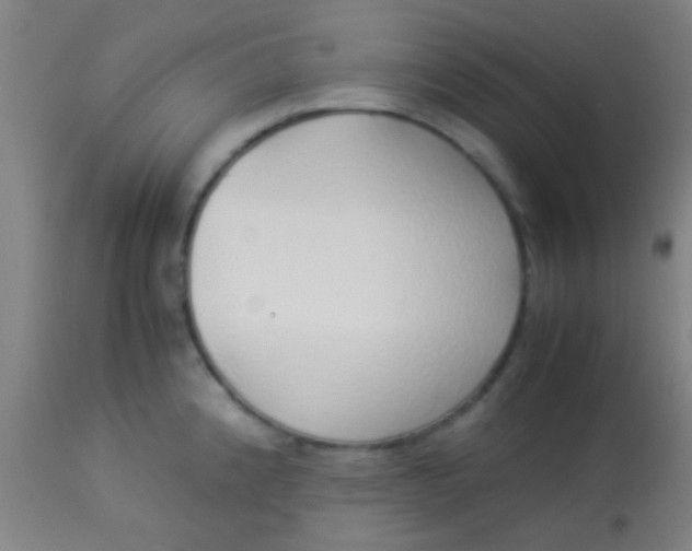 X0000114171192200910221644