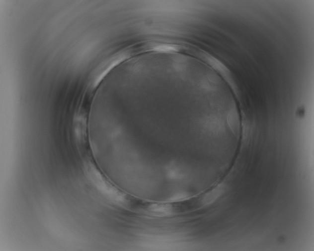 X0000114171194200910221644