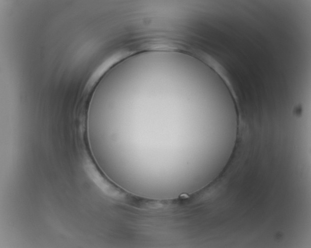 X0000114171195200910221644