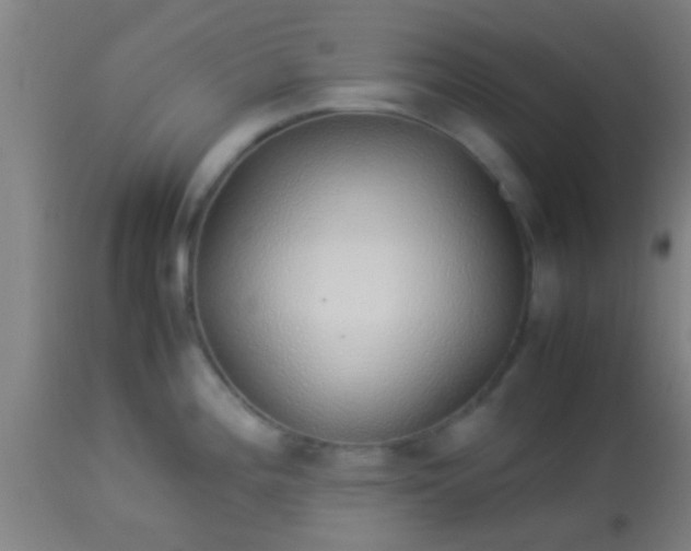 X0000114171196200910221644